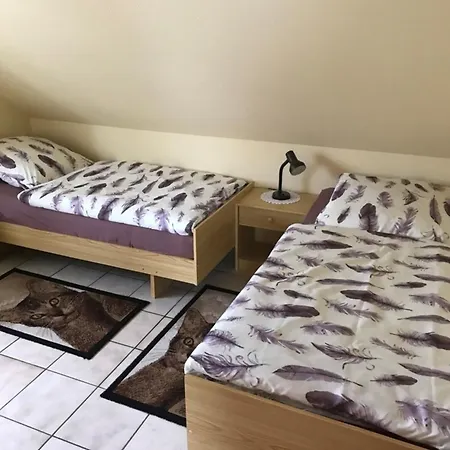 Kleymann Re26 * Sögel